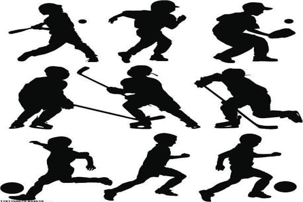 体育培训中心的室内设计与功能布局分析(图1)